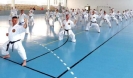 Hungary 2013