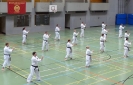 SpringCamp 2014