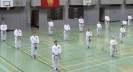 SpringCamp 2014