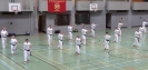 SpringCamp 2014