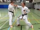 SpringCamp 2014