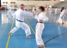 GASSHUKU (HU) 2014-104