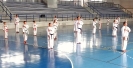 GASSHUKU (HU) 2014-116