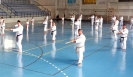 GASSHUKU (HU) 2014-119