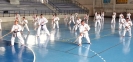 GASSHUKU (HU) 2014-120