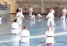 GASSHUKU (HU) 2014-130