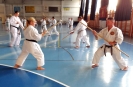 GASSHUKU (HU) 2014-133