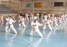 GASSHUKU (HU) 2014-31