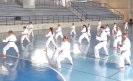 GASSHUKU (HU) 2014-38