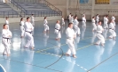 GASSHUKU (HU) 2014-40