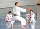 GASSHUKU (HU) 2014-44