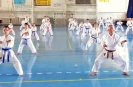 GASSHUKU (HU) 2014-69