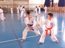 GASSHUKU (HU) 2014-92