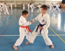 GASSHUKU (HU) 2014-96