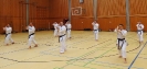 SpringCamp 2015-158