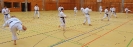 SpringCamp 2015-46