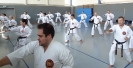 Autumn-Seminar 2016-14