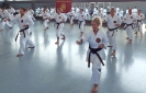 Autumn-Seminar 2016-17