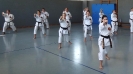 Autumn-Seminar 2016-21