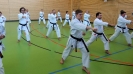 SpringCamp 2017-14