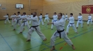 SpringCamp 2017-15