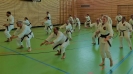 SpringCamp 2017-18