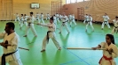 SpringCamp 2017-35