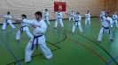 SpringCamp 2017-36