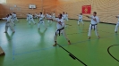 SpringCamp 2017-45