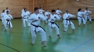 SpringCamp 2017-52