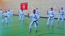 SpringCamp 2017-65