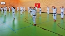 SpringCamp 2017-66