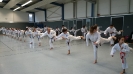 Autumn Seminar Germany-5