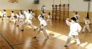 Stage - Montalto di Castro (VT) - Italy-12