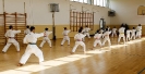 Stage - Montalto di Castro (VT) - Italy-15