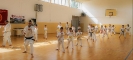 Stage - Montalto di Castro (VT) - Italy-20