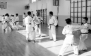 Stage - Montalto di Castro (VT) - Italy-34