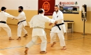 Stage - Montalto di Castro (VT) - Italy-39