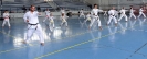 GASSHUKU  - 2018-2