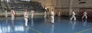 Summer “GASSHUKU”(Hungary)_50