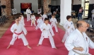 Montalto di Castro Seminar 2023_4