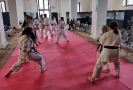 Montalto di Castro Seminar 2023_8