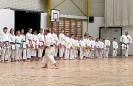 (7-8-9 April 2023) - Hotton Seminar in Belgium 