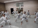 Autumn Seminar 2024_38