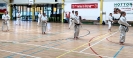 Hotton Seminar Belgium_10