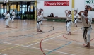 Hotton Seminar Belgium_13