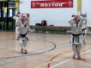 Hotton Seminar Belgium_14