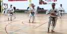 Hotton Seminar Belgium_17