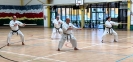 Hotton Seminar Belgium_27
