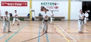 Hotton Seminar Belgium_5